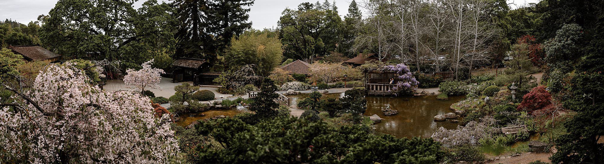 Panoramic photograph of Hakone Estate from the balcony overlooking the gardens