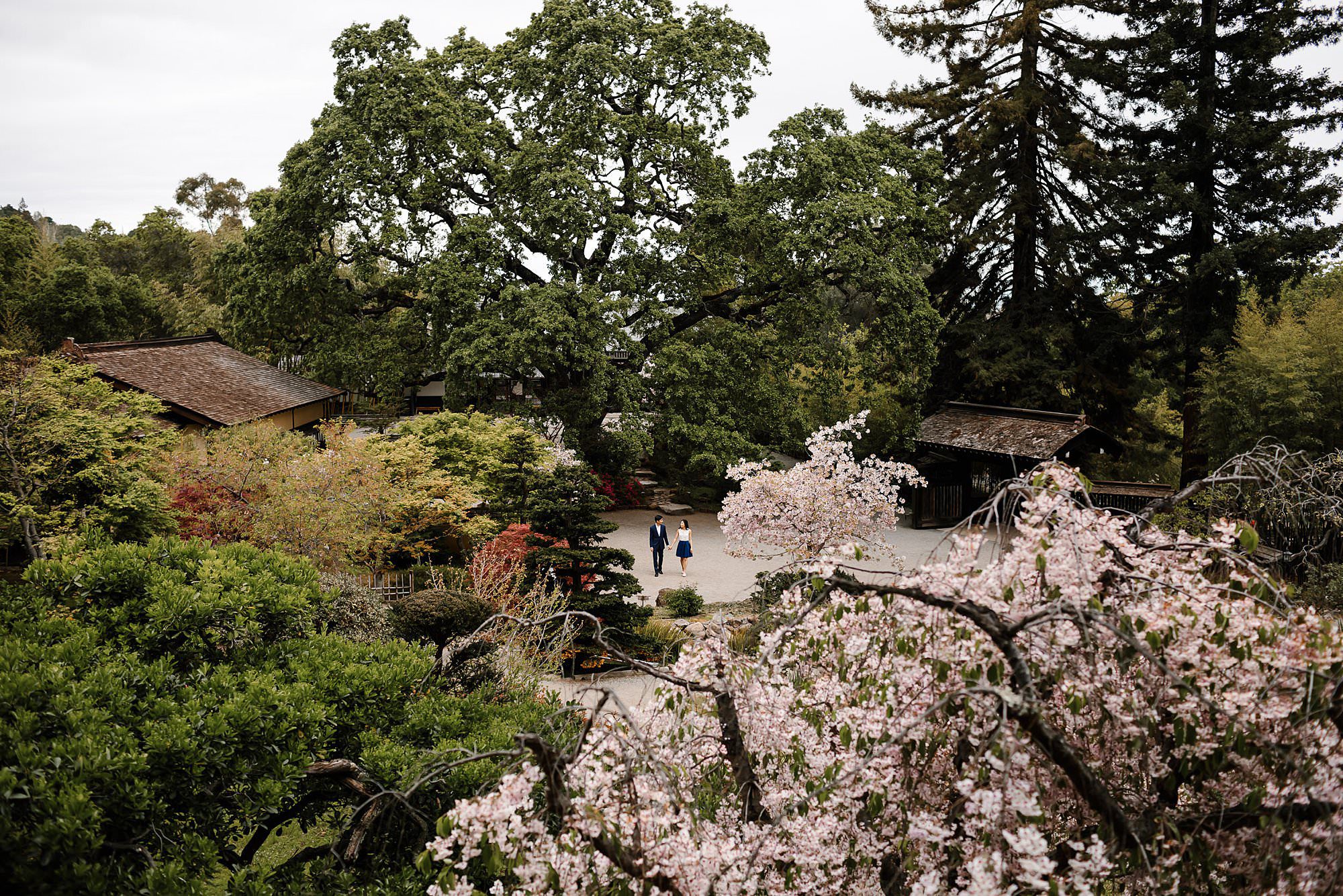 Landscape photo of couple standing in a small clearing at Hakone Gardens amid all the blooming trees