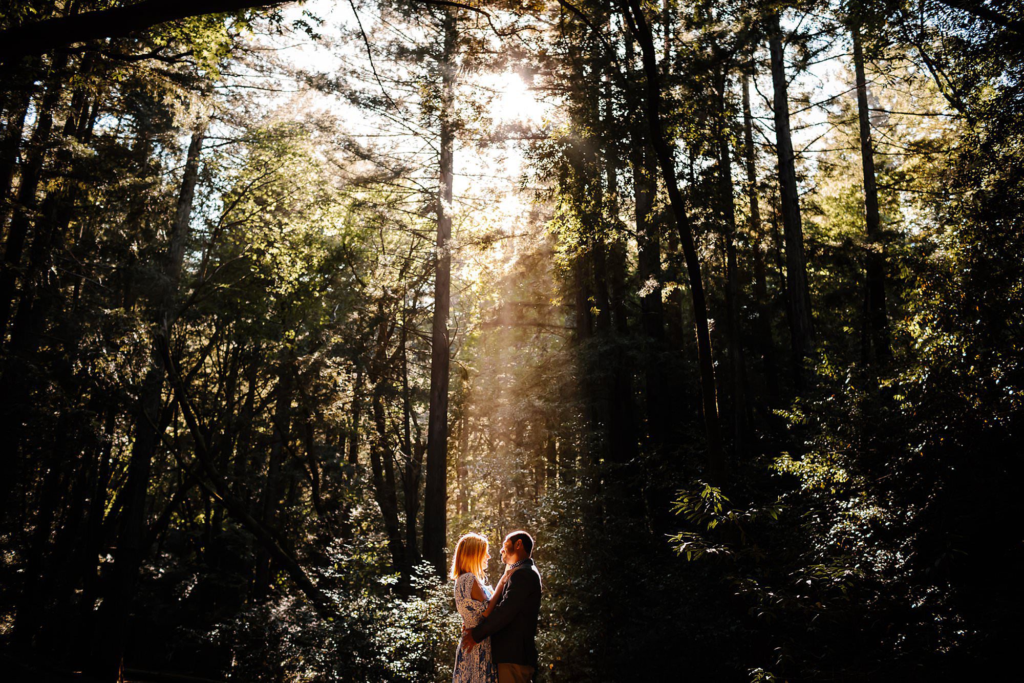 Engaged couple embracing closely on a trail in a beam of sunlight shining through the redwoods in Larkspur