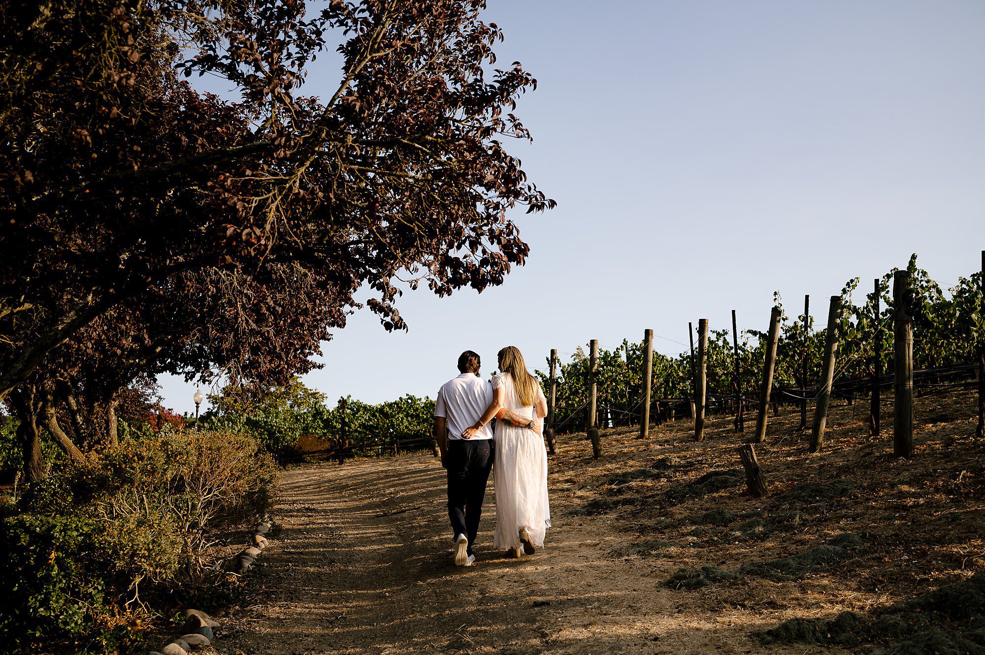 Melissa and Cameron in the vineyard at Domaine Carneros. 