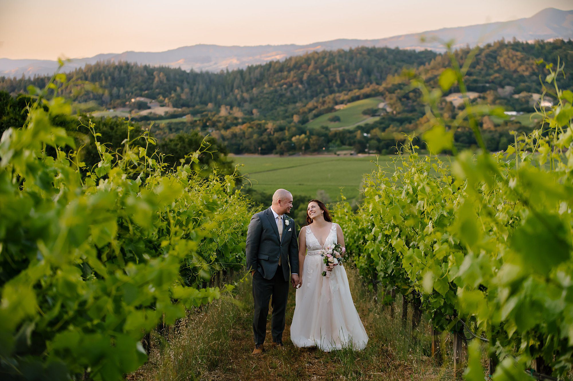 Dan and Megan holding hands in the vineyard during sunset, above Capo Creek winery with Sonoma County mountains in the background