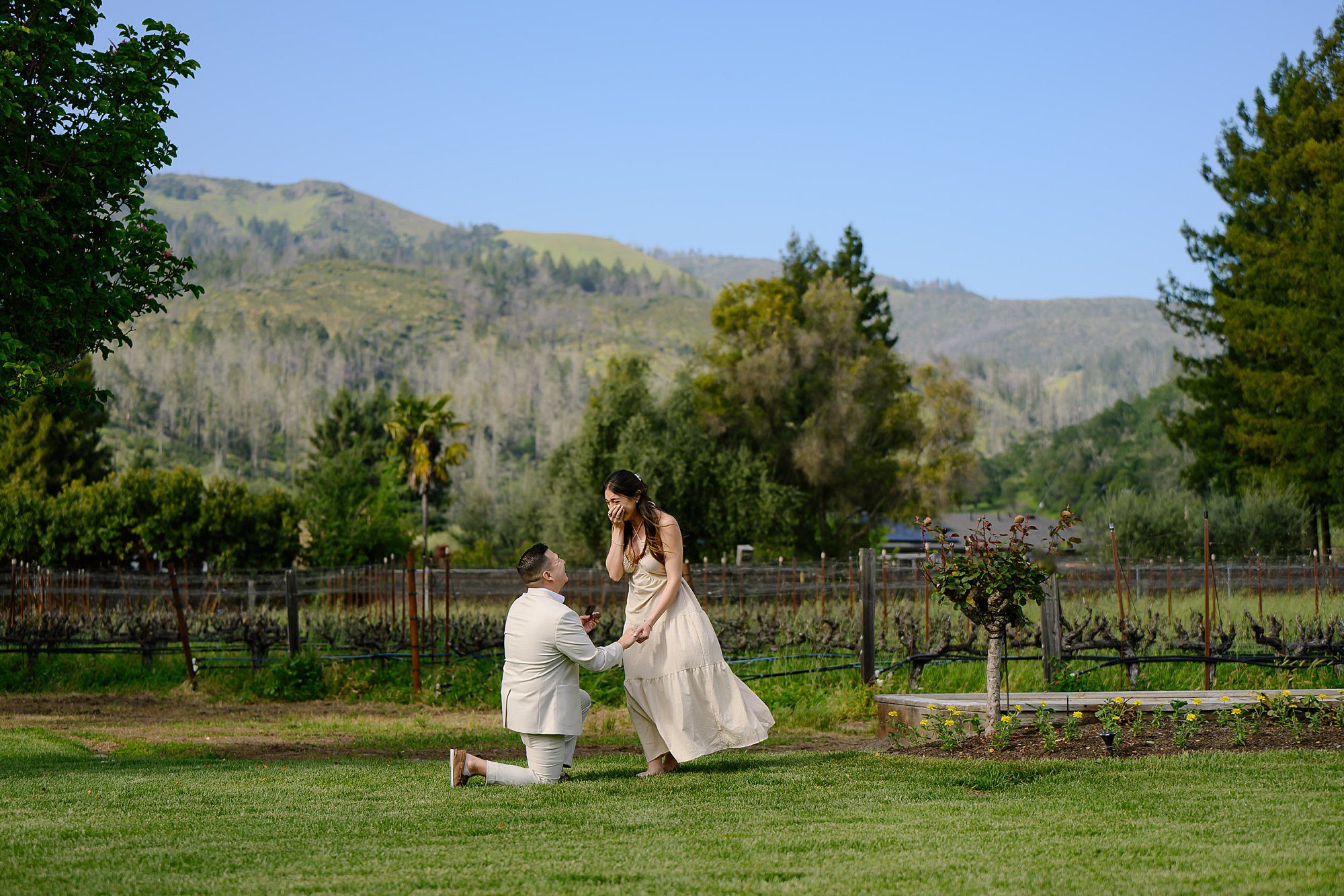 Nik gets down on one knee to propose in the vineyard at Landmark with the mountains as a backdrop 