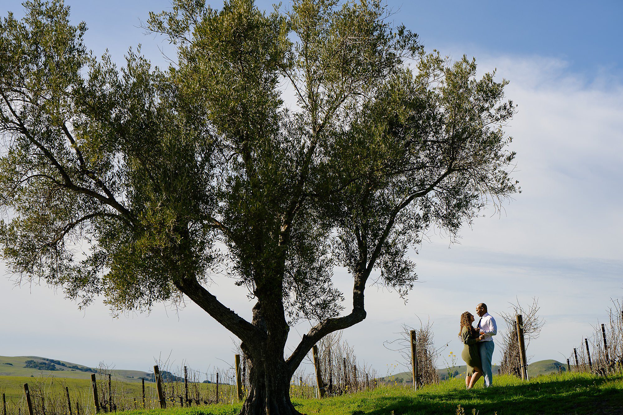 Samar and Courtney in the vineyard at Ram's Gate winery after getting engaged under the pergola 