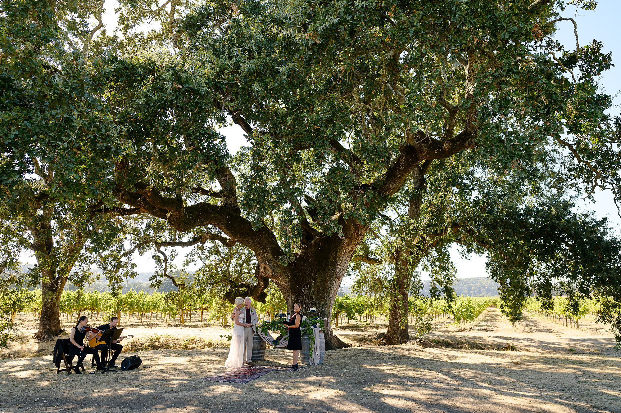 Lynn and Barry's ceremony under the oak tree in the vineyard at Beltane Ranch with live musicians 
