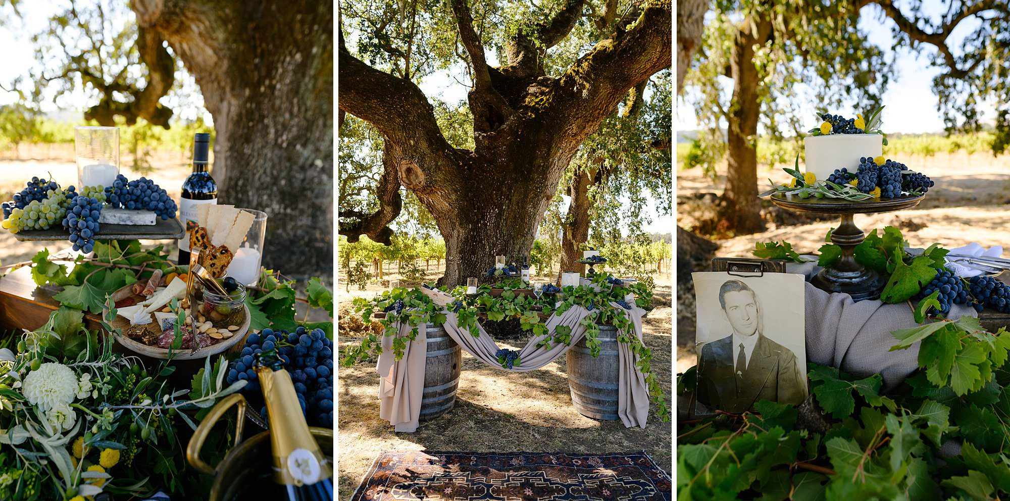Beautiful ceremony alter in the vineyard at Beltane Ranch decorated with draped wine barrels, cake, wine, and accented with vines. 