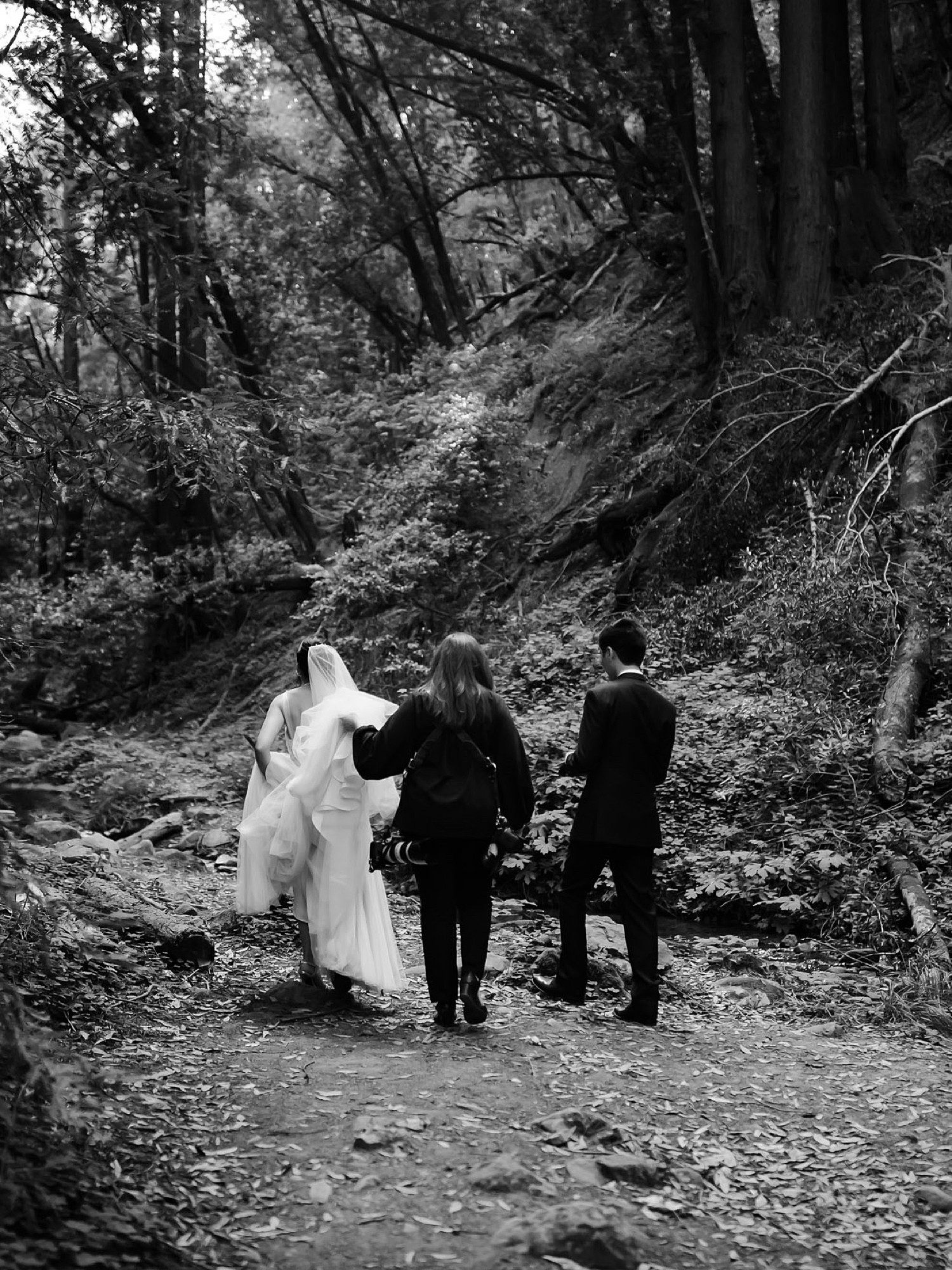 Black and white of Amy and couple walking through the redwoods at Saratoga Springs at their wedding