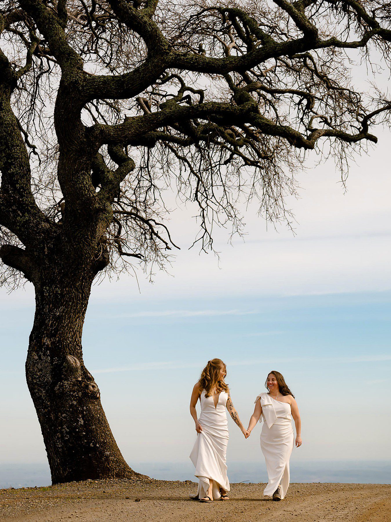 Newleyweds walk together under the oak tree on top of Saddle Ranch mountaintop